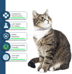 ShengKou flea collar cat 12-month protection highlighting long-lasting pest defense.