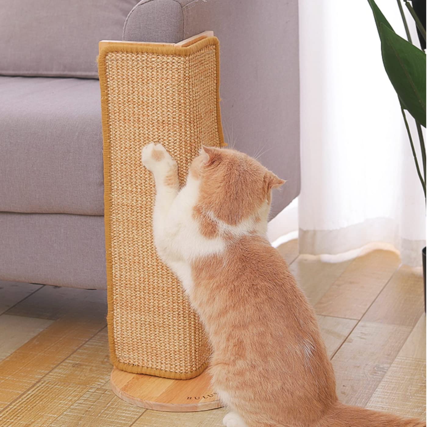 SHENGOCASE 20-5in tall post shows cats stretch and exercise safely on a sleek wall unit.