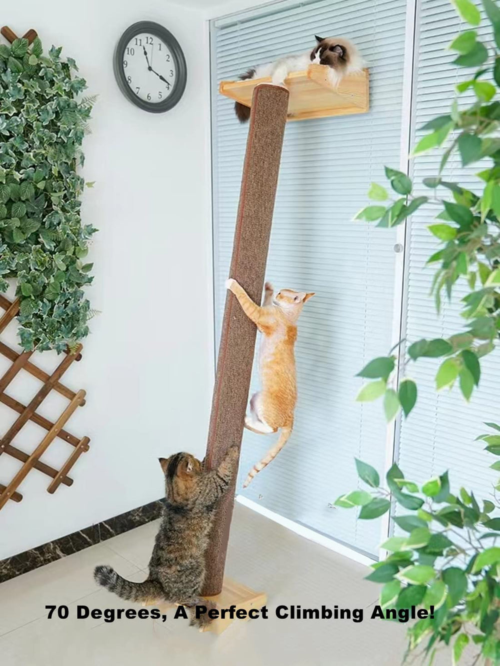 SHENGOCASE bed perch offers cozy resting space atop the tall tower.