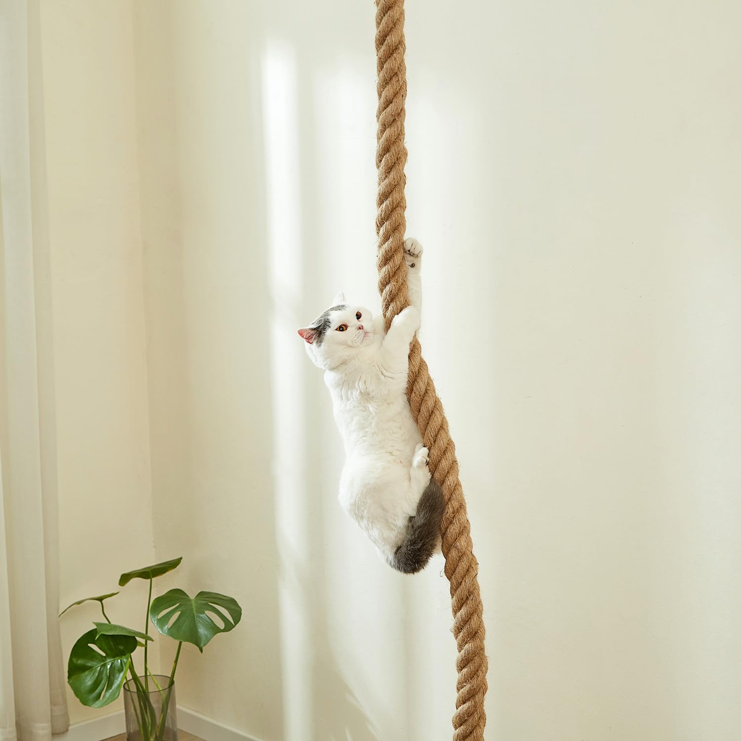 SHENGOCASE cat climbing rope with screws offers sturdy installation for long-lasting use.