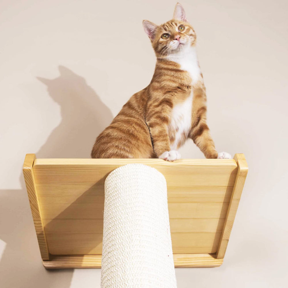 SHENGOCASE wall-mount cat tree with 70-degree incline aids easy climbing.