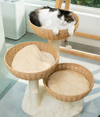 SHENGOCASE window perch for cats with outdoor view