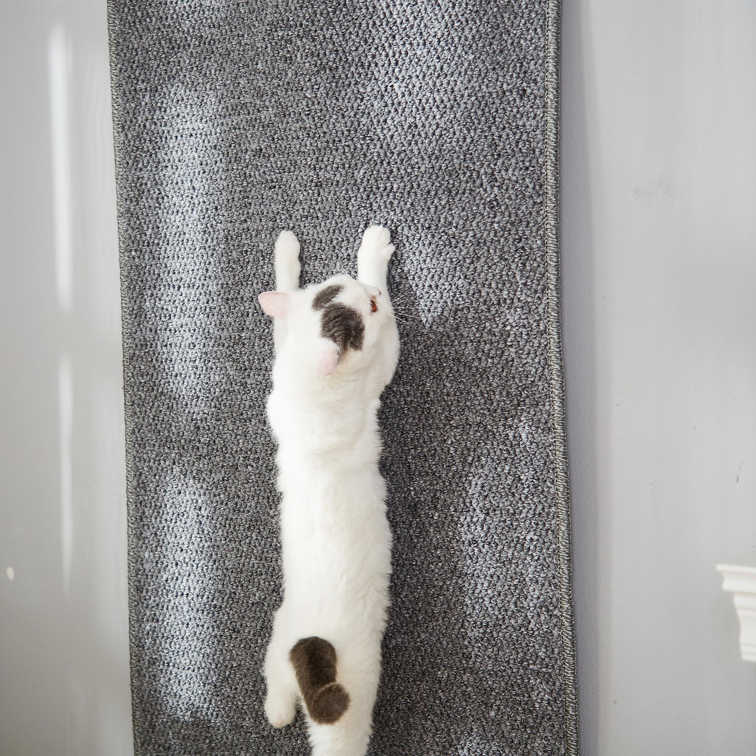 SHENGOCASE cat wall scratcher on grey wall protects furniture