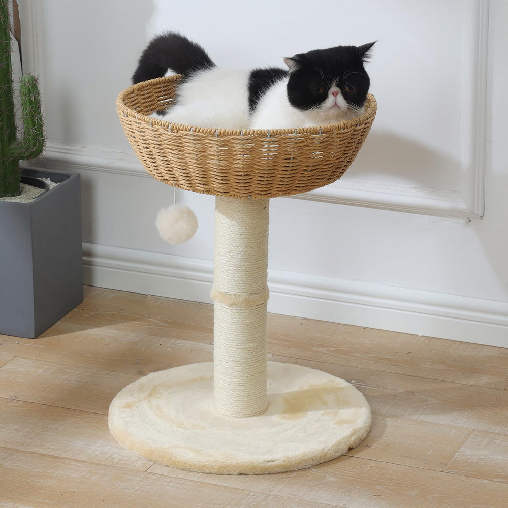 SHENGOCASE heavy duty frame ensures stable play and resting area