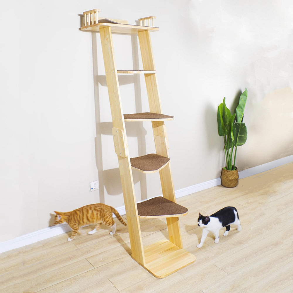 SHENGOCASE large perch platform enables comfortable lounging and sun exposure.