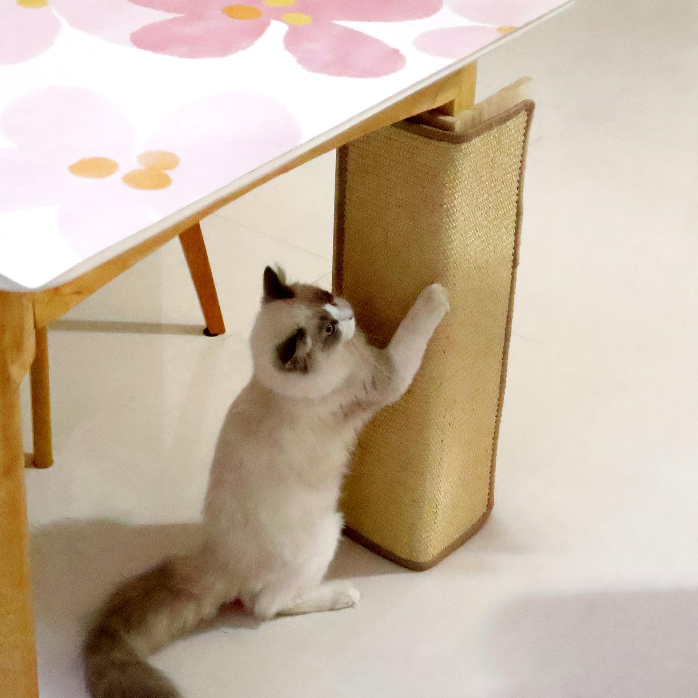 SHENGOCASE living-room decor-fit scratcher blends with home styling.