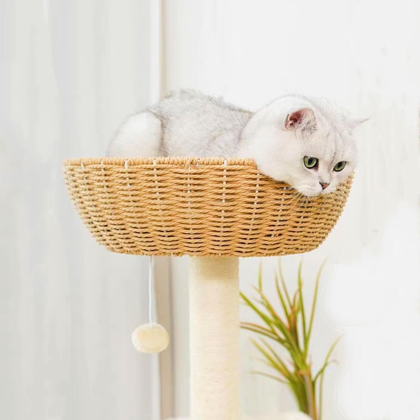 SHENGOCASE nest basket bed provides a cozy retreat and peaceful naps