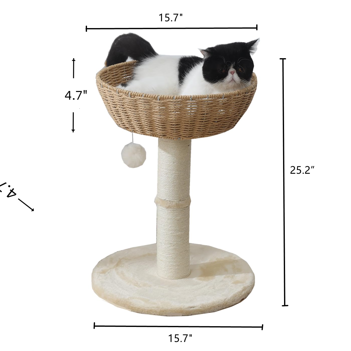 SHENGOCASE pom pom toy adds playful distraction for curious cats
