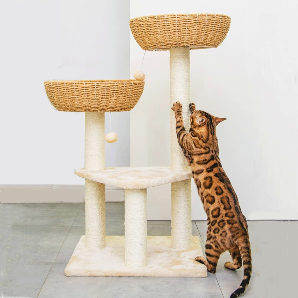 SHENGOCASE rattan wicker basket offers a cozy nap spot and seclusion