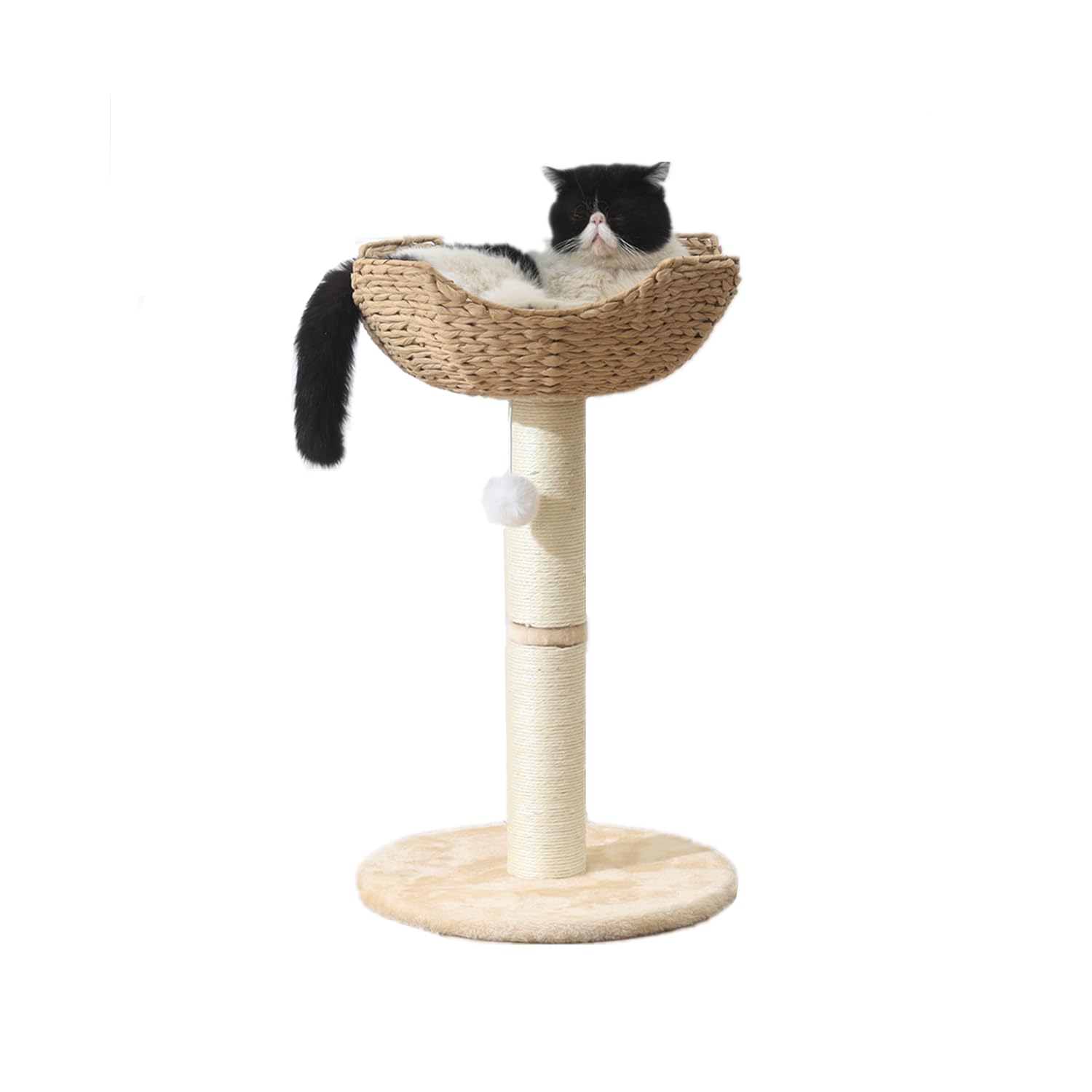 SHENGOCASE small cat tree tower with basket view—cozy window perch for large cats.