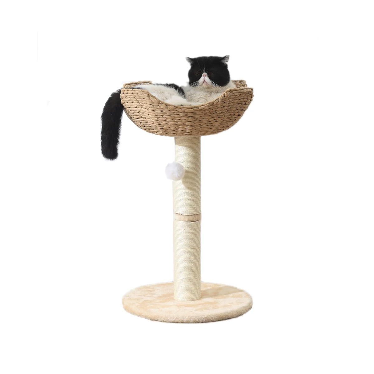 SHENGOCASE small cat tree tower with basket view—cozy window perch for large cats.