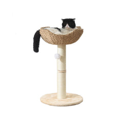 SHENGOCASE small cat tree tower with basket view—cozy window perch for large cats.