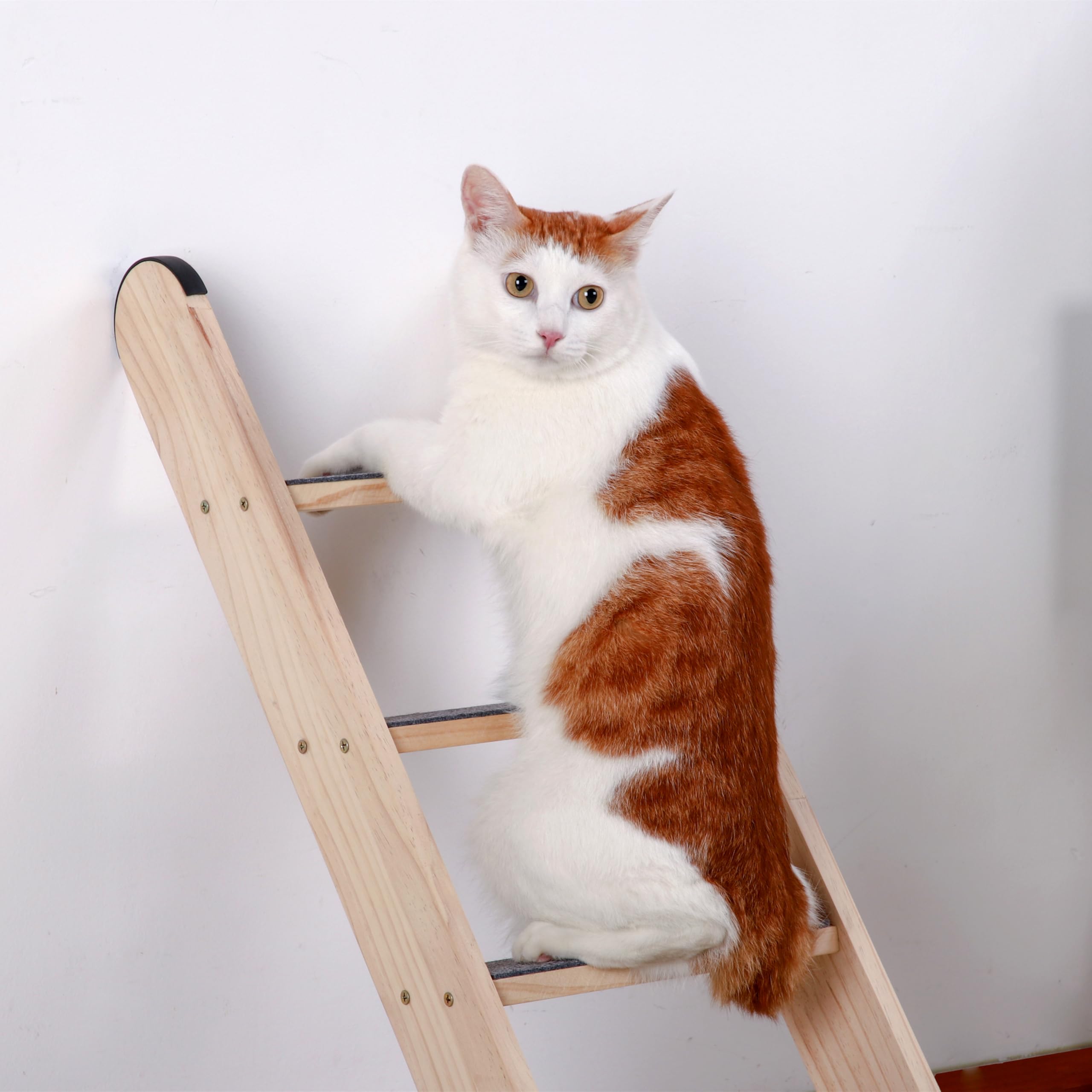 SHENGOCASE wall-leaning ladder fits small spaces while offering vertical exercise.