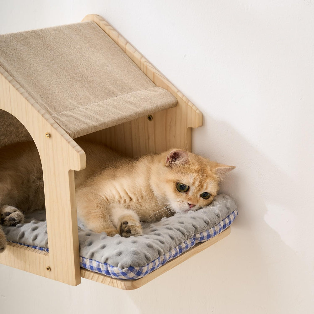 SHENGOCASE washable pillow cushions for easy cat comfort and cleanup