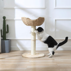SHENGOCASE window perch action—cats enjoy aerial view and sunlight.
