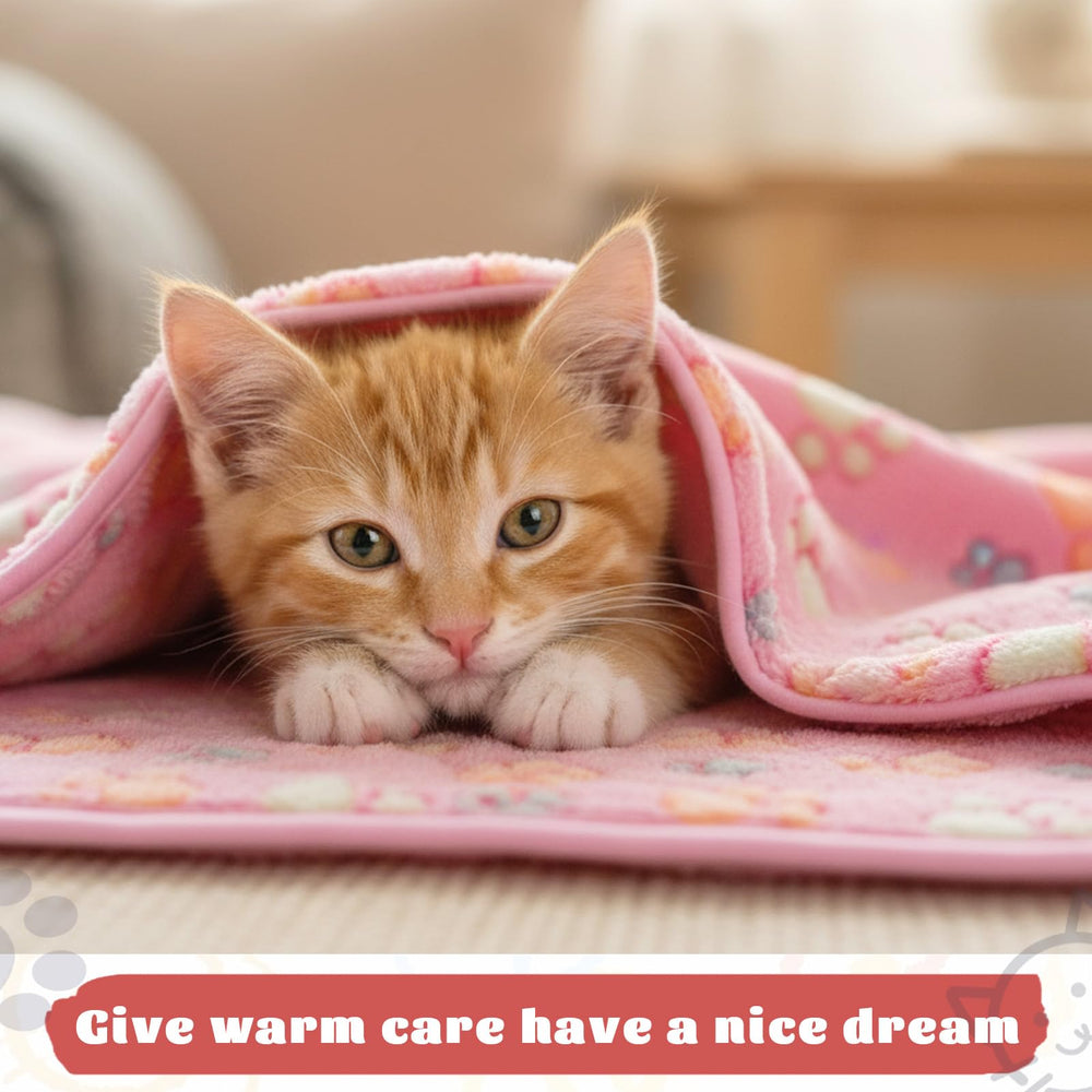 SHENLIU star pattern blanket suggests cheerful mood and daily use benefits.