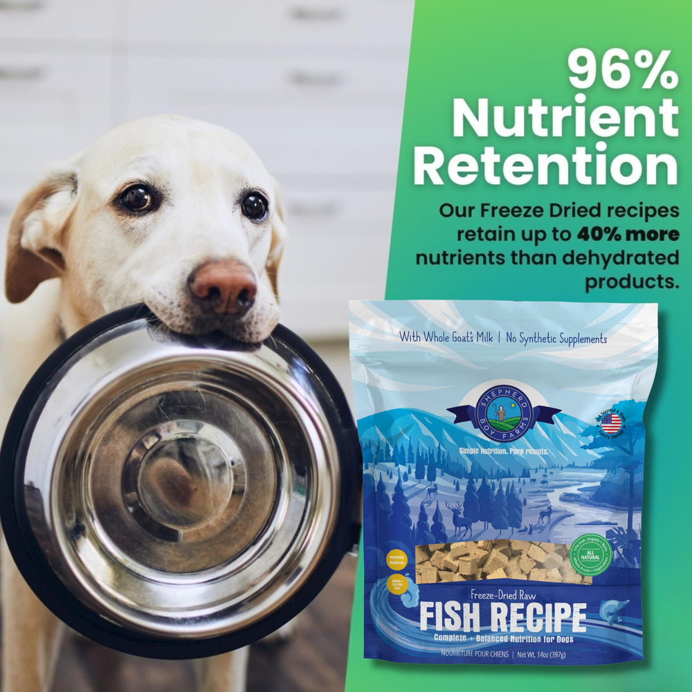 Fish Medley protein-rich composition from Shepherd Boy Farms for active dogs
