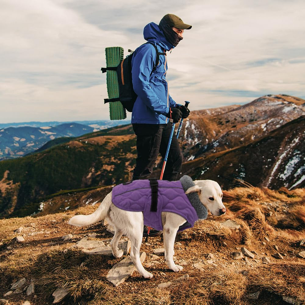 Sheripet dog coat winter purple XXL leash attachment point for controlled walks