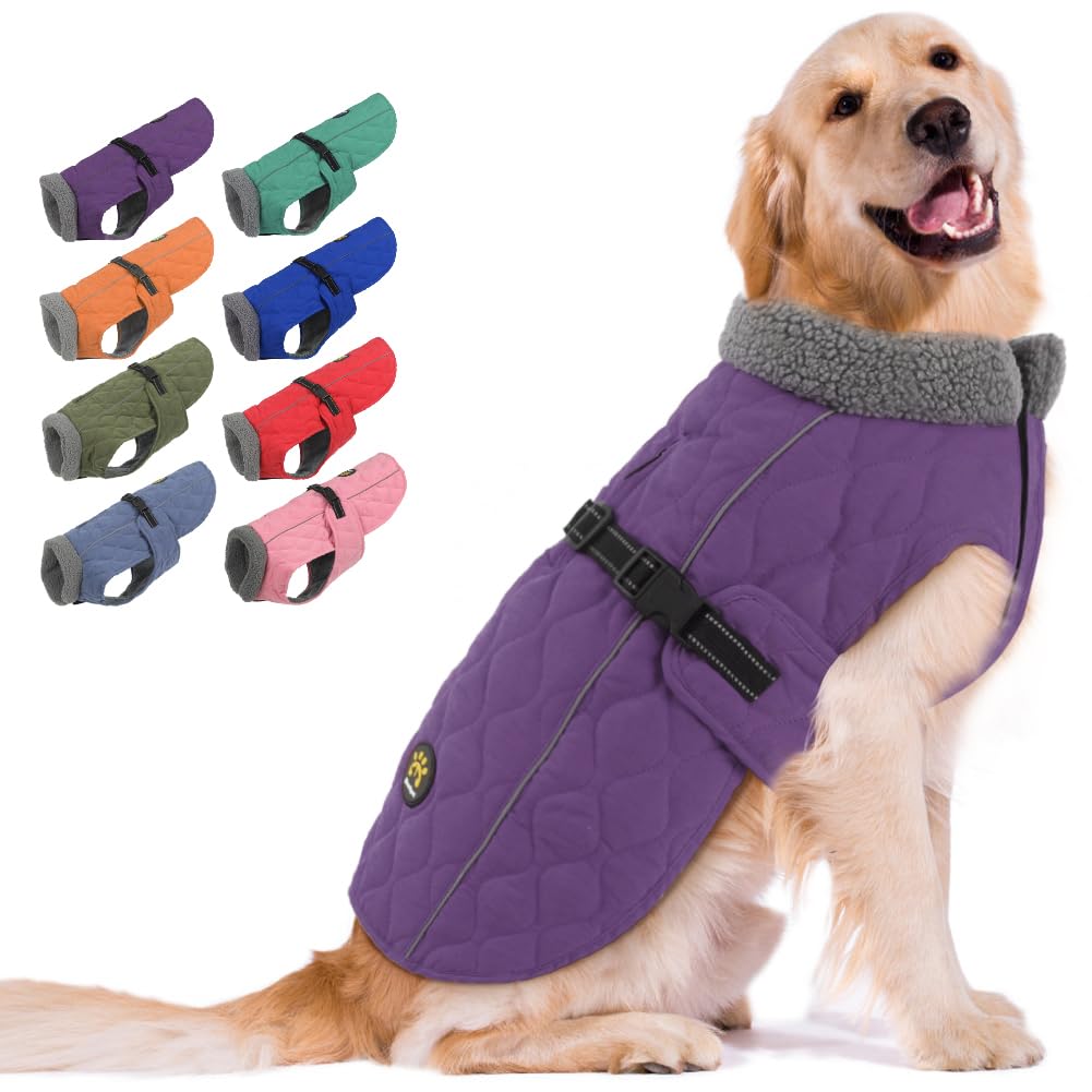 Sheripet dog coat winter purple XXL shown on a large dog for warmth in cold weather