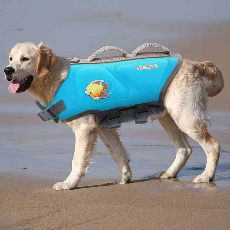 Sheripet dog life jacket in use during swimming session for safer playful moments