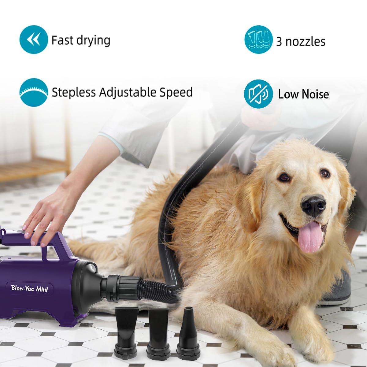 Shernbao dog dryer hose attachment demonstrates flexible reach for thorough drying.