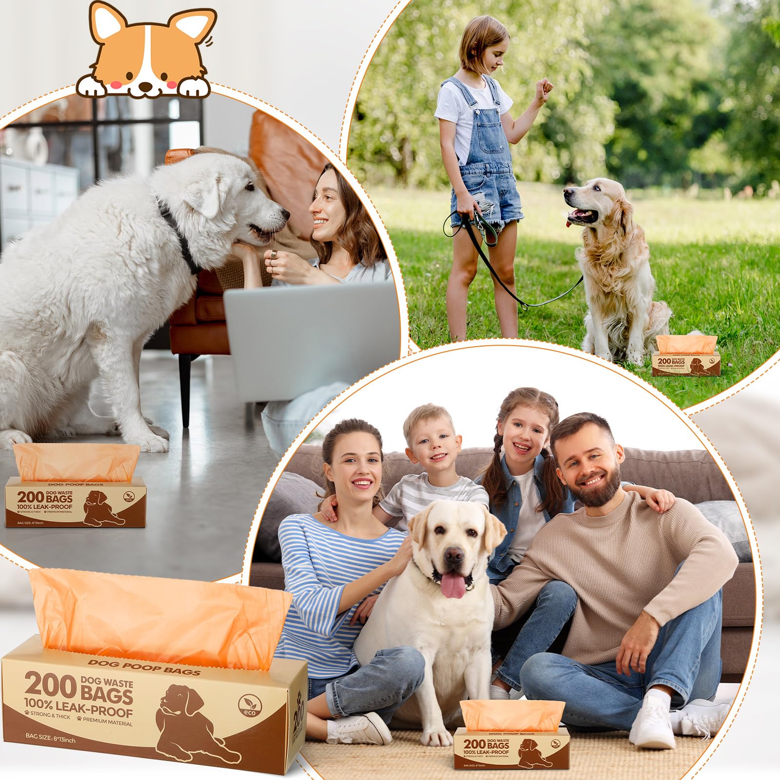 Sherr 4000-count bundle ideal for daily walks and travel