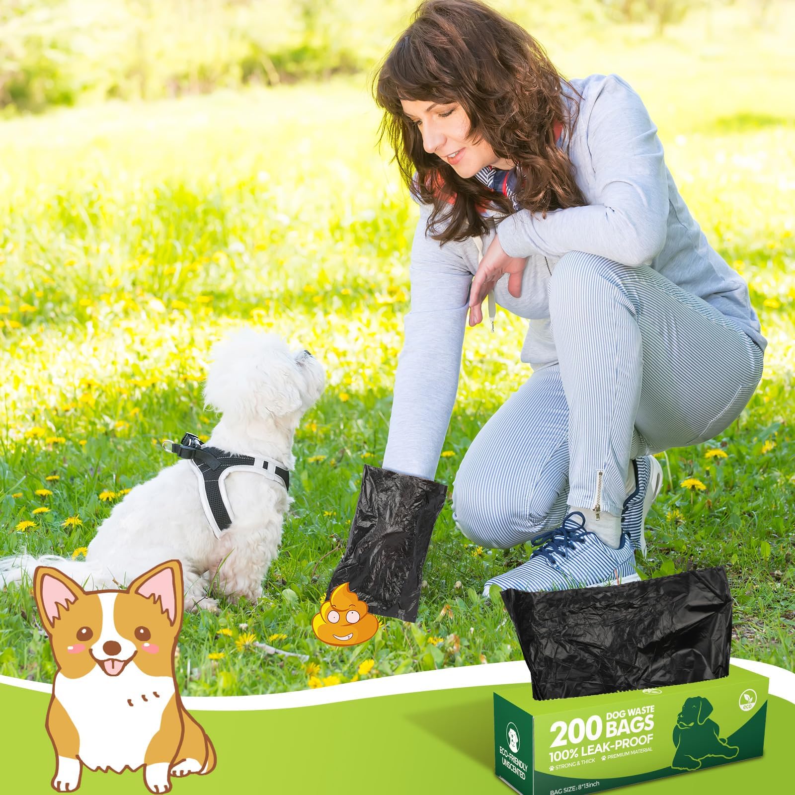 Sherr boxes-and-dispenser-collection demonstrates portable system for tidy walks.