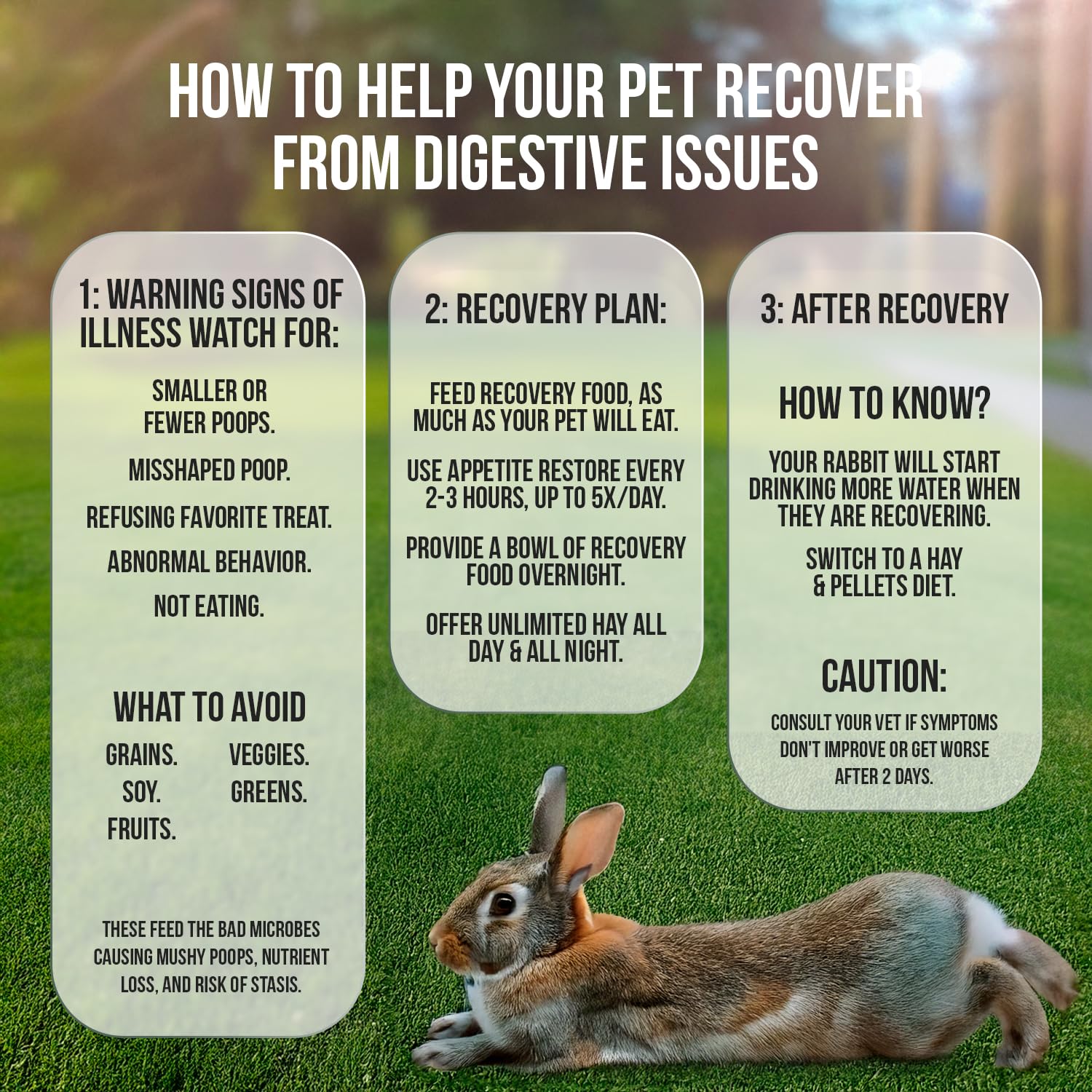 Sherwood Pet Health bulk recovery food small bag highlights Timothy hay-based nutrition for rabbits