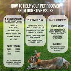 Sherwood Pet Health bulk recovery food small bag highlights Timothy hay-based nutrition for rabbits