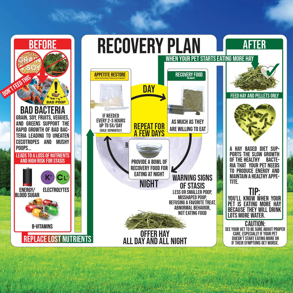 Sherwood Pet Health bunny snack-and-feed kit closeup emphasizes convenient, calorie-friendly support when needed