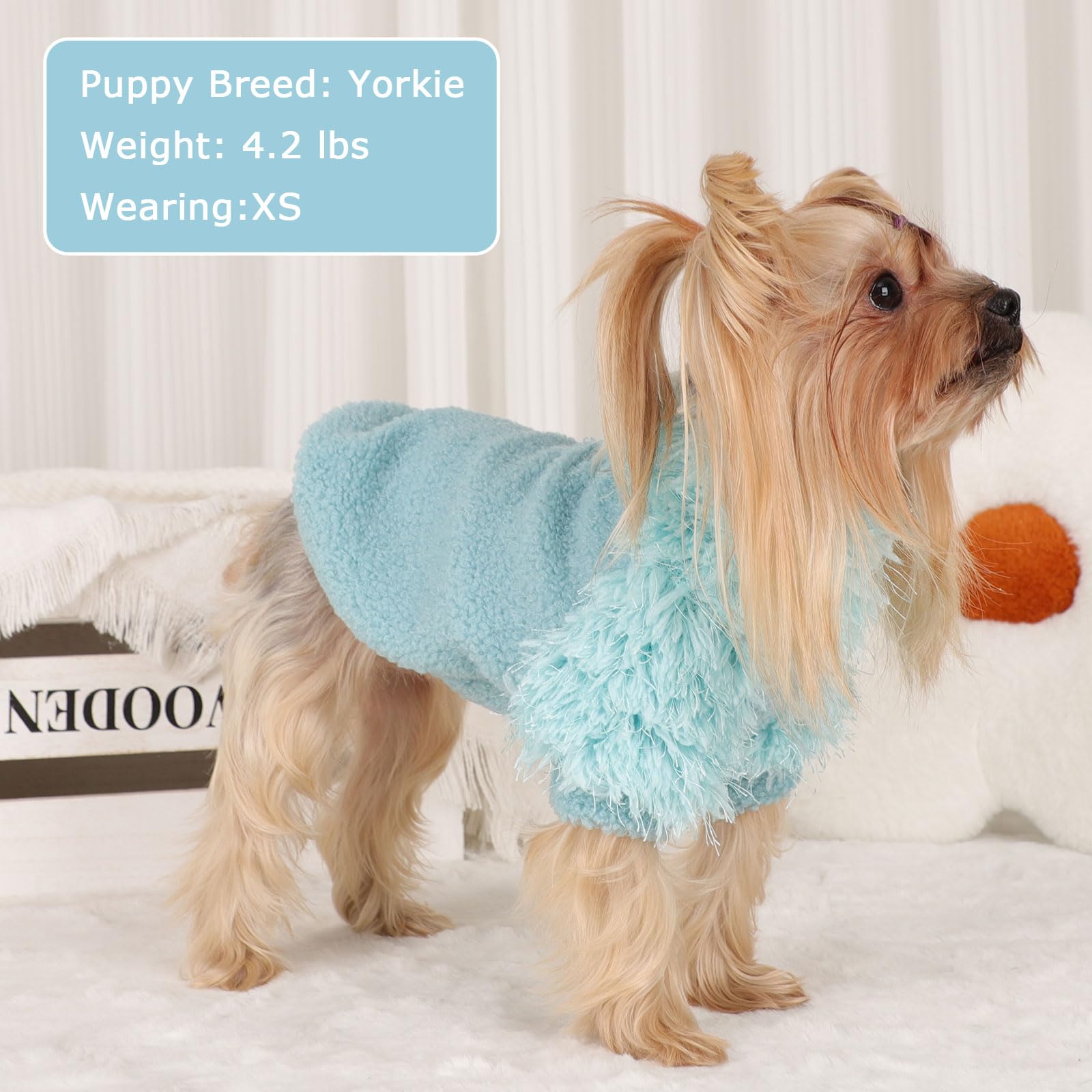 Shifenmei dog classic sweater closeup knit highlighting soft fleece texture