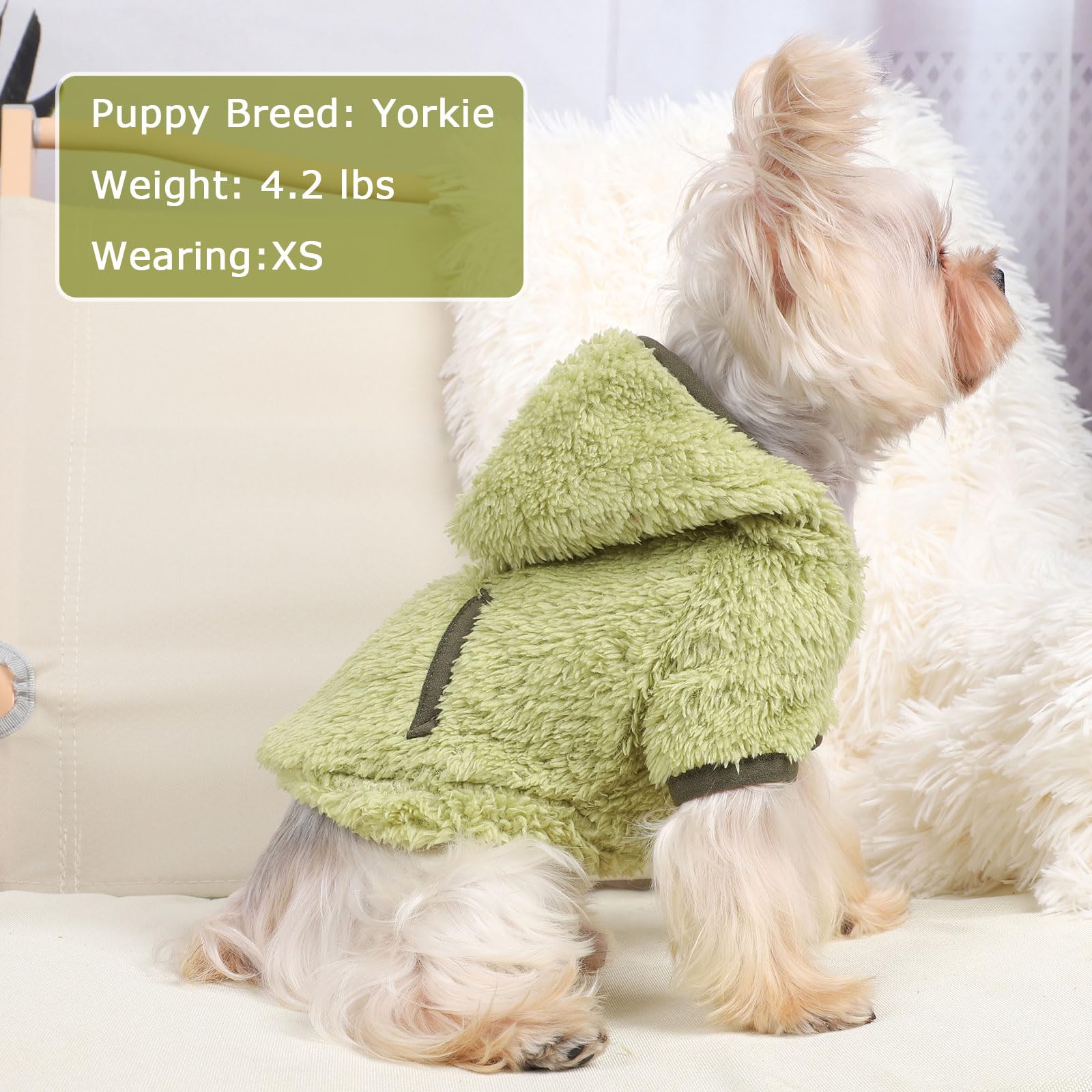 Shifenmei dog dress hoodie plaid green adds cute style and warmth.
