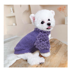 Shifenmei purple dog sweater with turtleneck close-up for snug winter wear