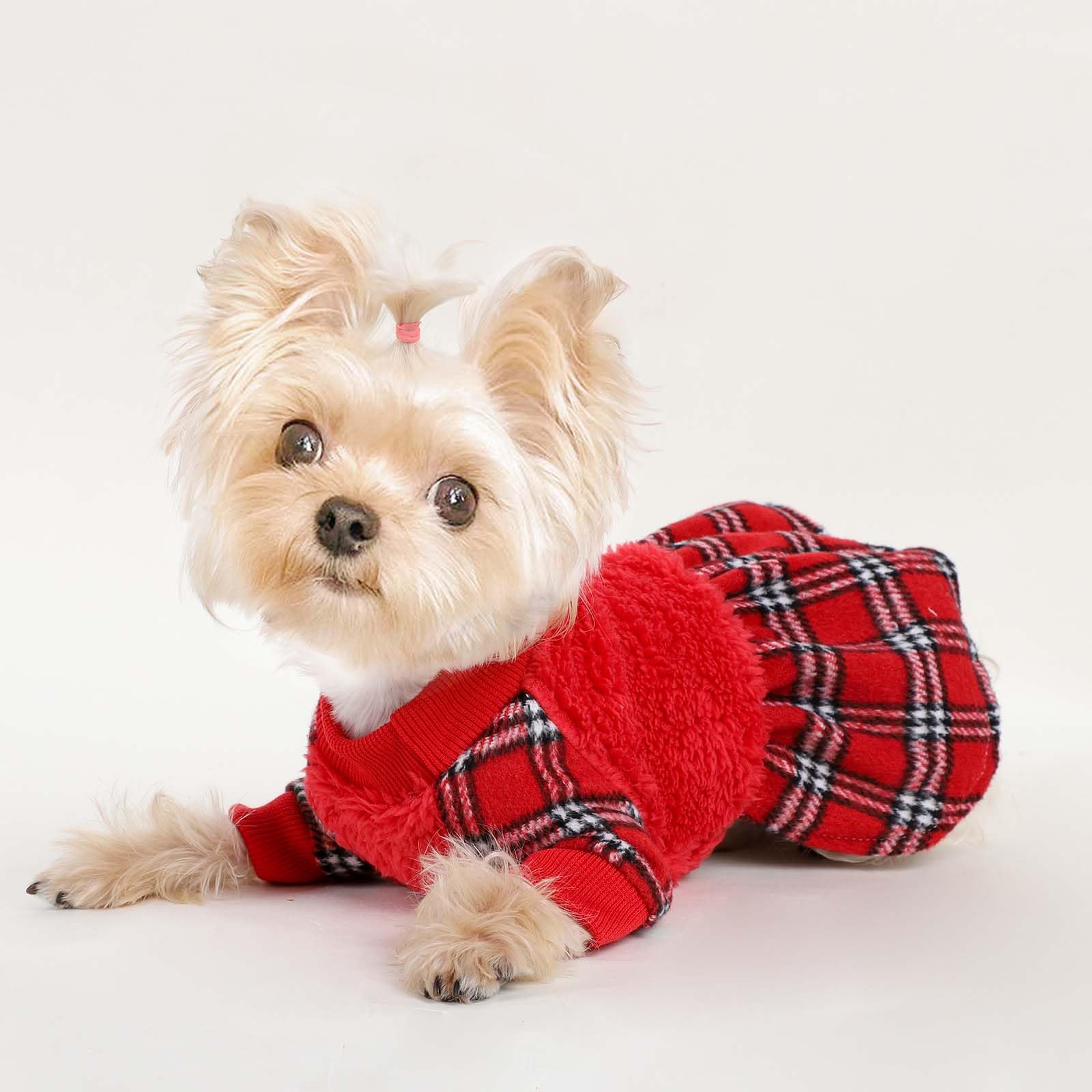 Shifenmei dog sweater red XS back view shows snug fit for chilly days.