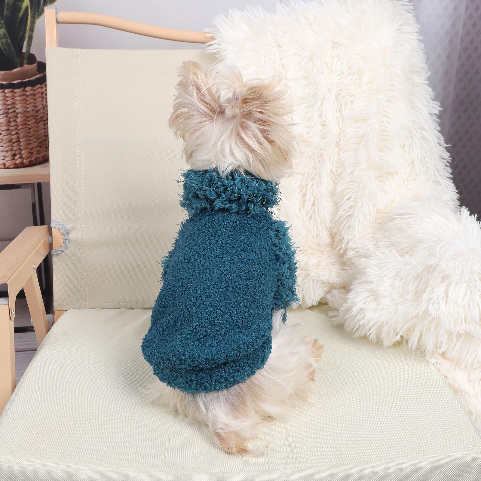 Shifenmei dog sweater with turtleneck demonstrates festive warmth for holidays.