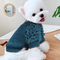 Shifenmei small dog sweater green back view highlights snug fit for everyday outings.