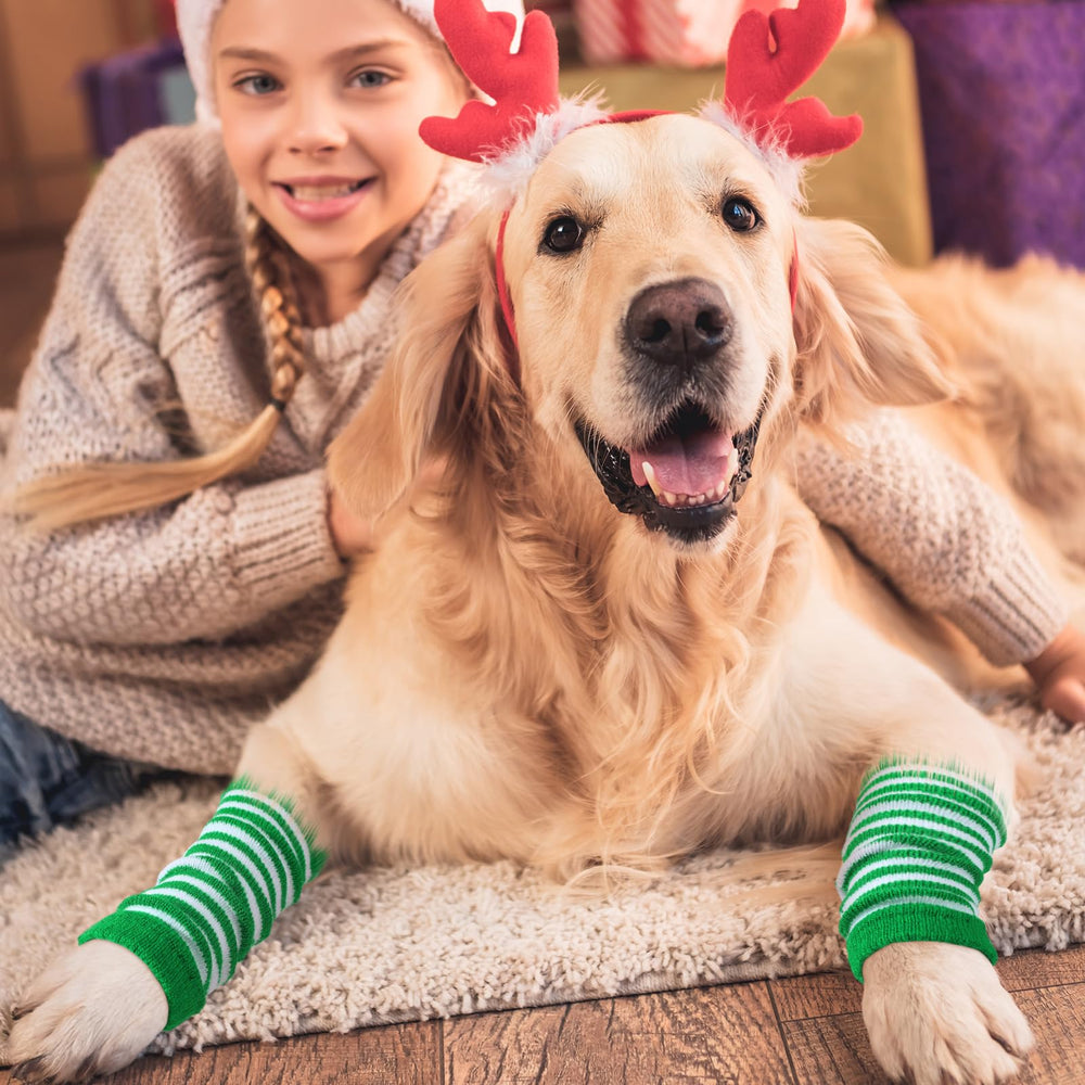Shihanee 12-piece pack of dog leg warmers arranged for versatile outfits.