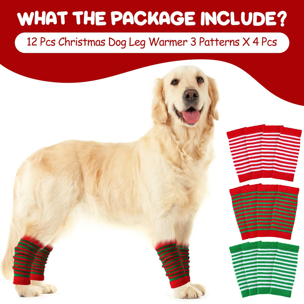 Shihanee dog leg warmers green-white stripes showcased on a winter outfit.