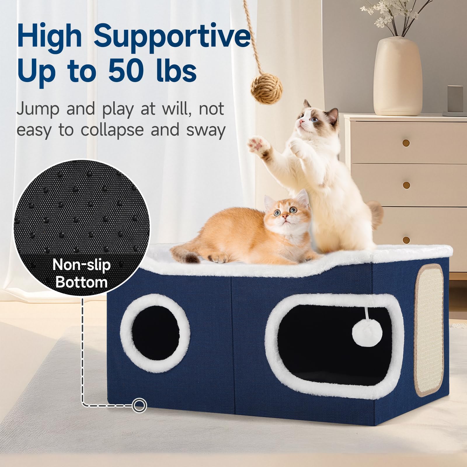 Shikha cat bed hanging-ball feature captures interactive play moment.