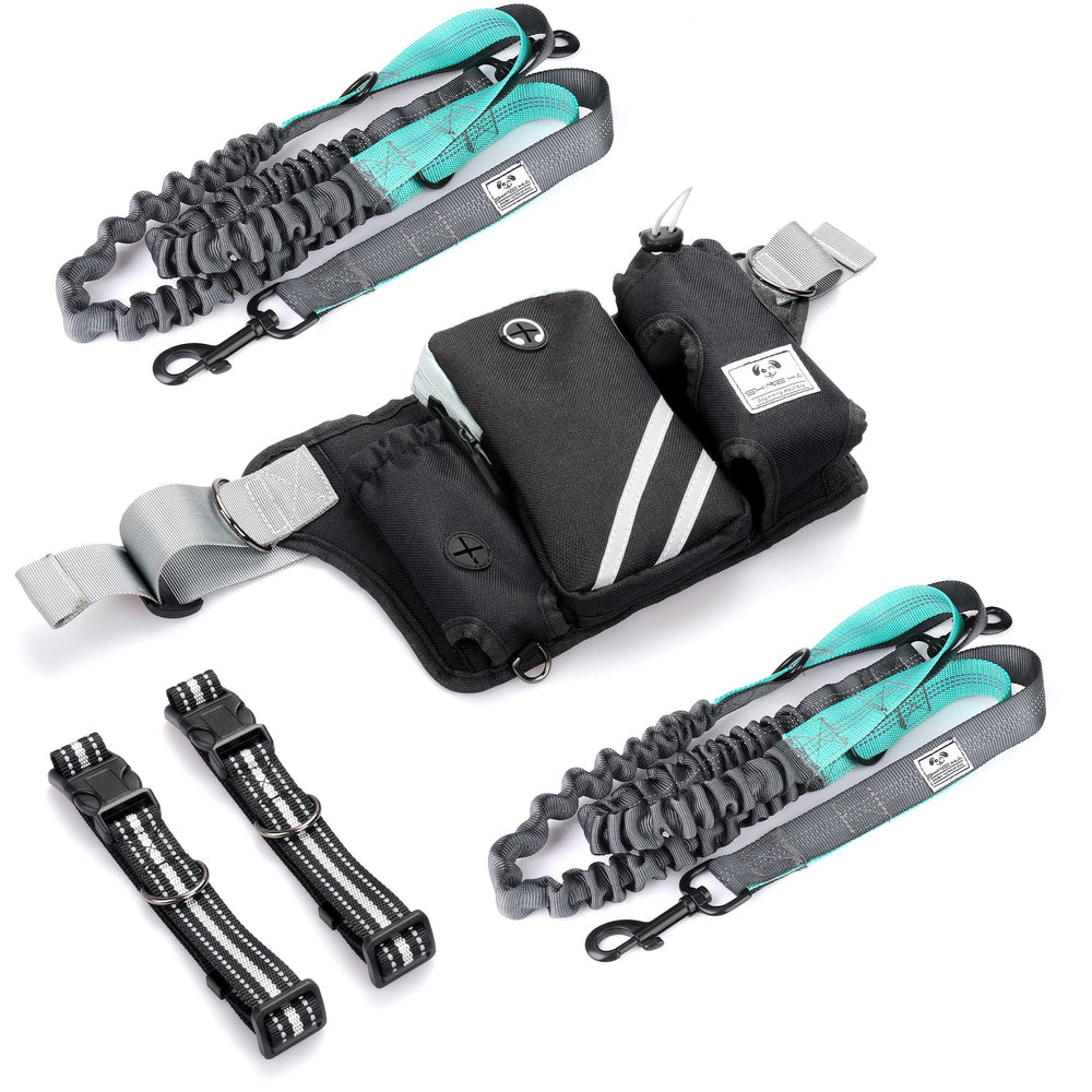 SHINE HAI bonus dog collar included with the leash package