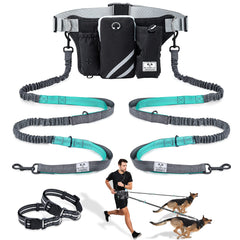SHINE HAI retractable hands-free dog leash shows two-dog control for walks
