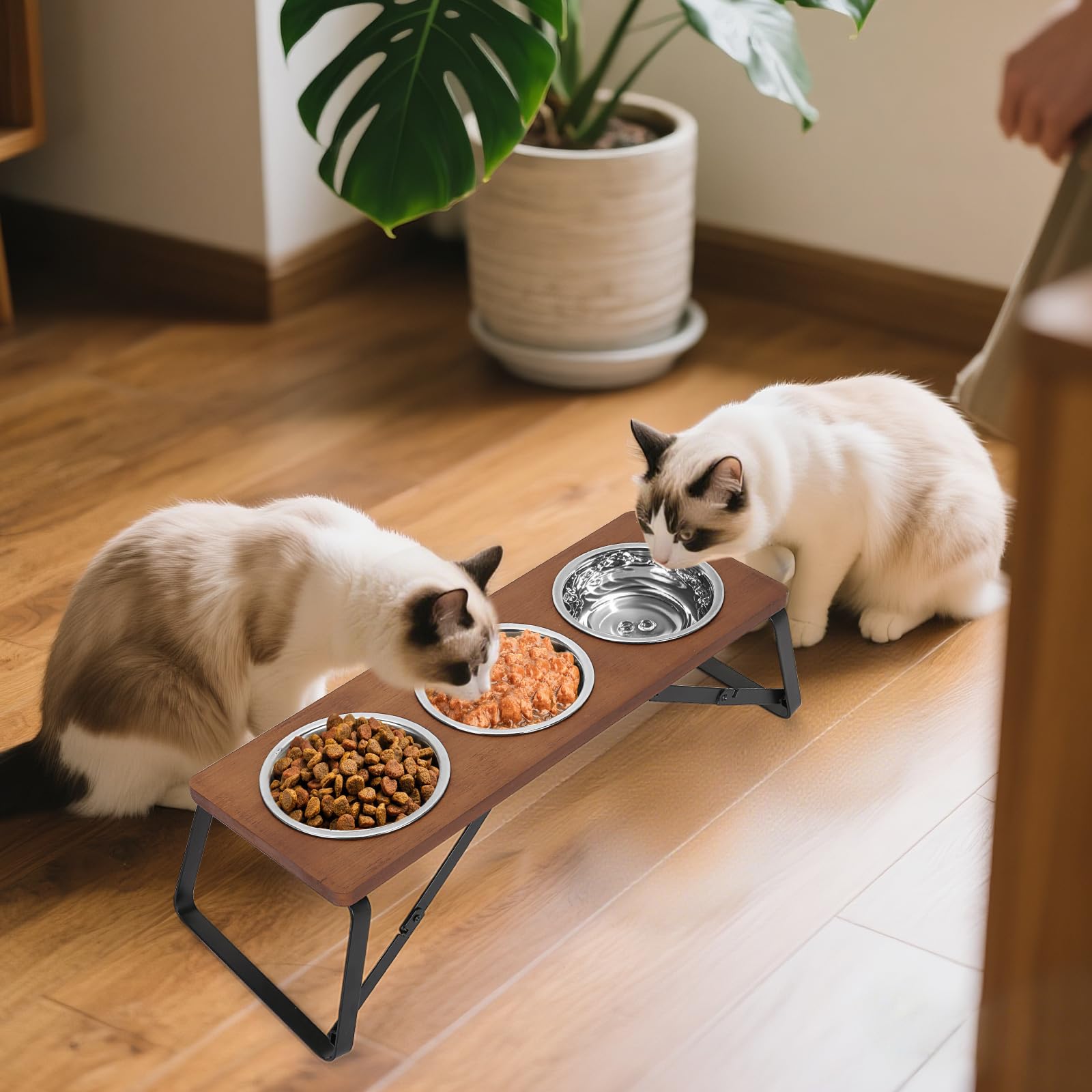 ShineMe anti-spill design helps maintain a cleaner feeding area.