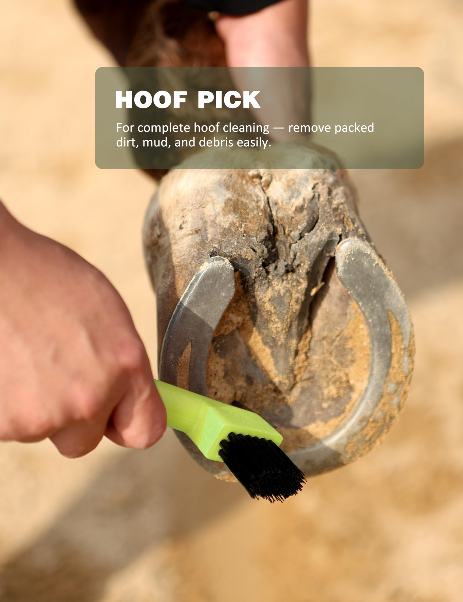 ShineWell hoof pick for quick hoof maintenance between sessions.
