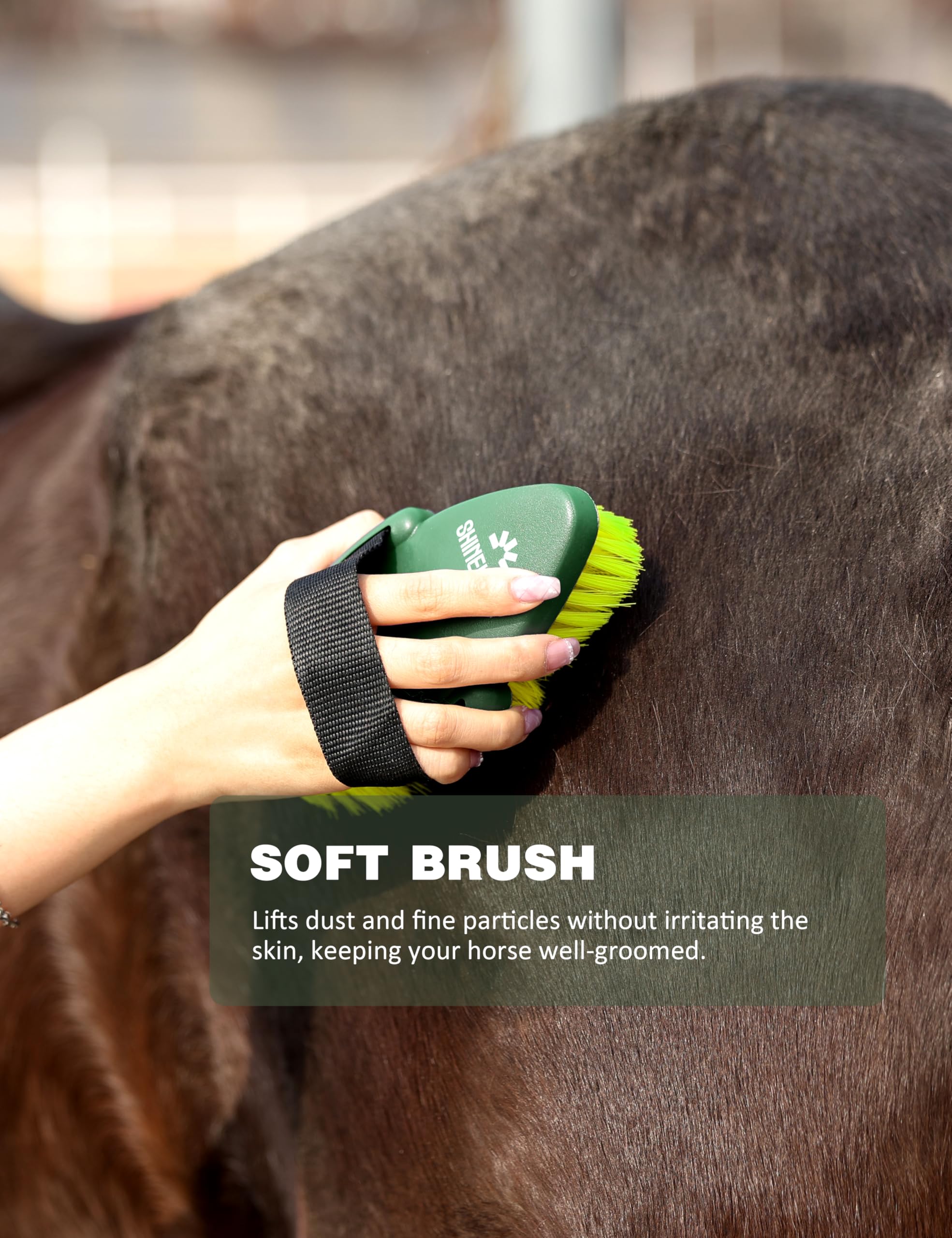 ShineWell mane comb helps smooth and detangle manes.