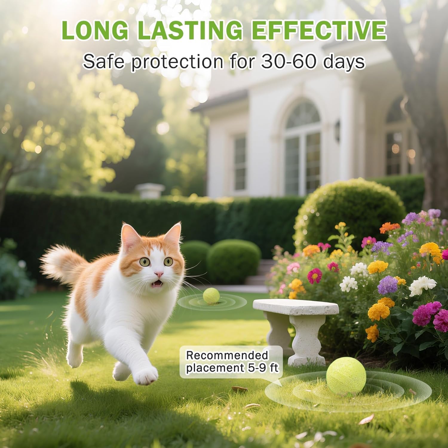 SHIUMORE cat repellent applied to yard and garden to guard plants and outdoor furniture.