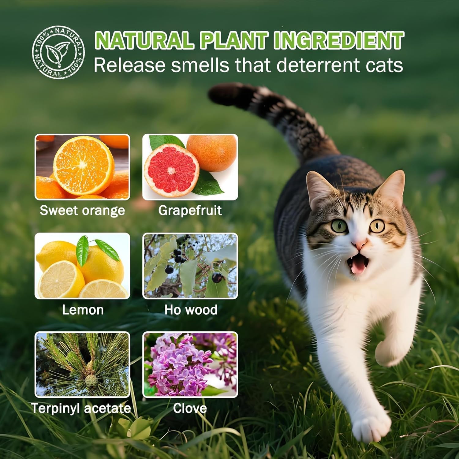 SHIUMORE cat repellent balls showcasing natural ingredients like clove and citrus for safe deterrence.