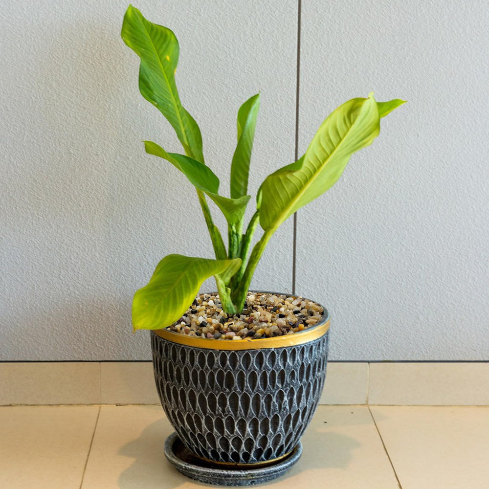 SHIZWU natural sand for fish tank: provides subtle layers and habitat-friendly aesthetics