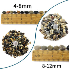 SHIZWU pea gravel 4-8mm in tank adds natural texture and layered decor.