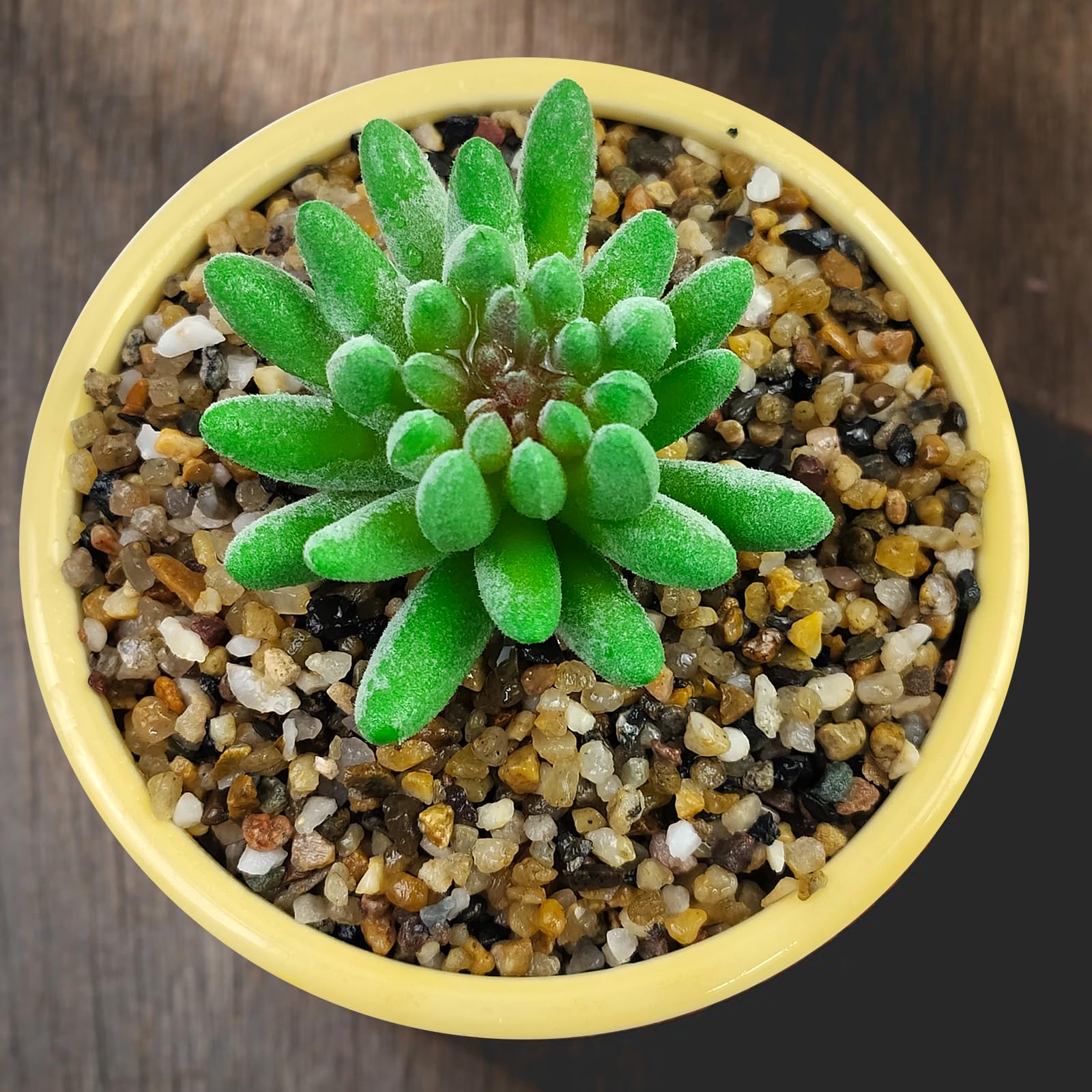 SHIZWU vase-filling decorative gravel for colorful centerpieces