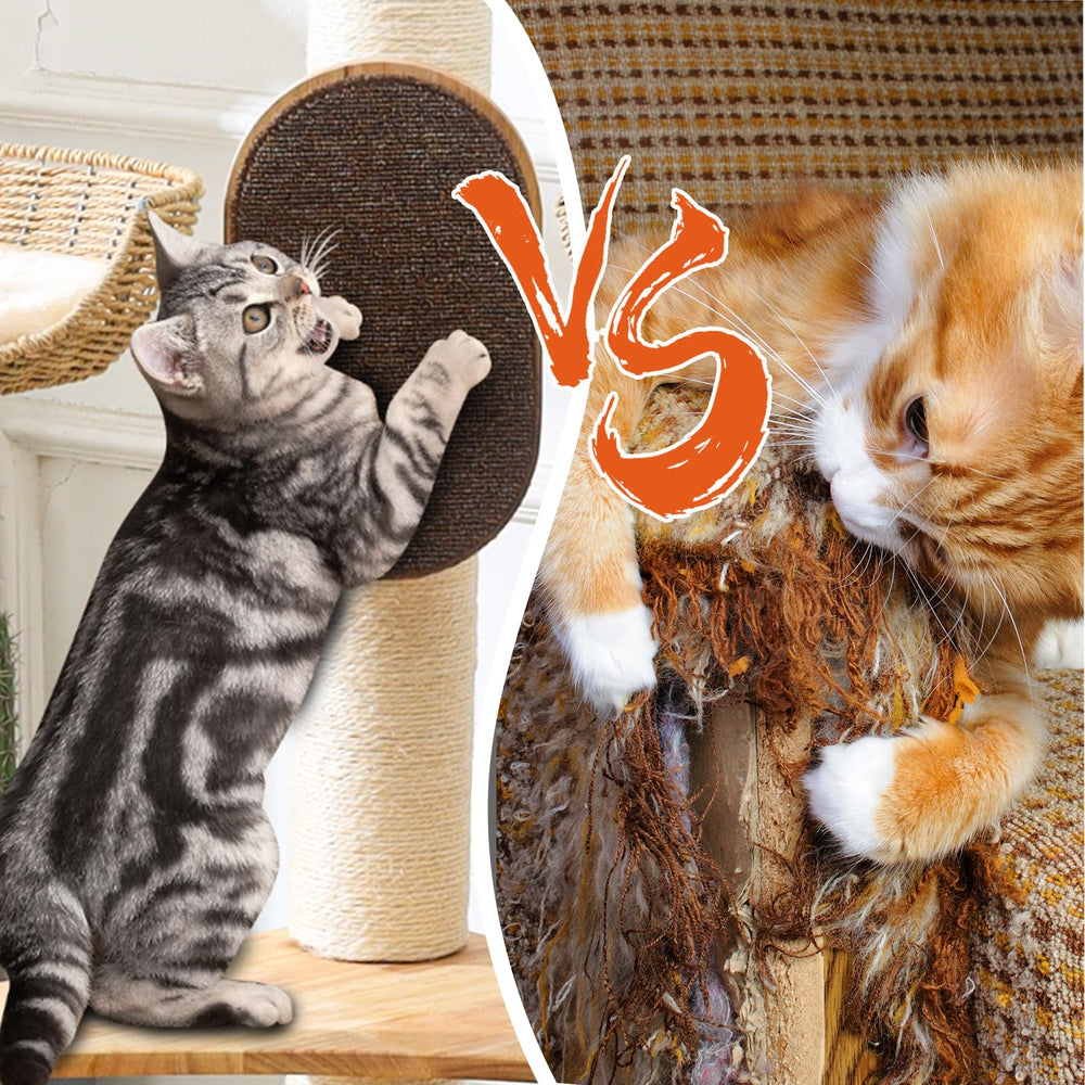 SHODMI Modern Cat Tree Wood sustainable hardwood with rustic-modern decor.